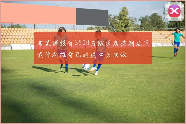 布莱顿报价3500万欧求购热刺后卫武什科维奇已达成口头协议
