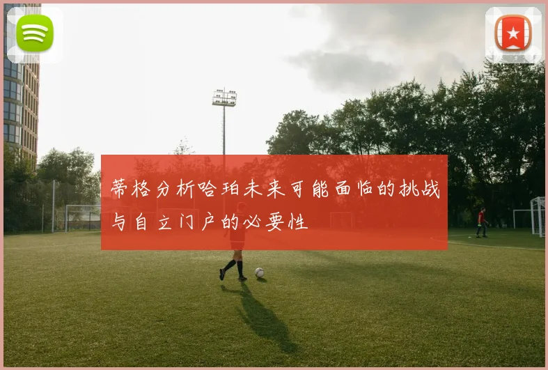 蒂格分析哈珀未来可能面临的挑战与自立门户的必要性